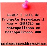 G-417 | Jefe de Proyecto Reemplazo 1 mes – (WE671) en Metropolitana en Metropolitana WHH