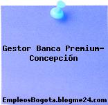 Gestor Banca Premium- Concepción