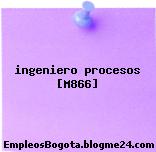 ingeniero procesos [M866]