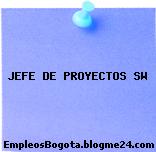 JEFE DE PROYECTOS SW