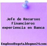 Jefe de Recursos Financieros experiencia en Banca