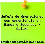 Jefe/a de Operaciones con experiencia en Banca o Seguros, – Calama