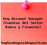 Key Account Manager (Cuentas del Sector Banca y Finanzas)