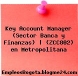 Key Account Manager (Sector Banca y Finanzas) | (ZCC802) en Metropolitana