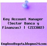 Key Account Manager (Sector Banca y Finanzas) | (ZCC802)