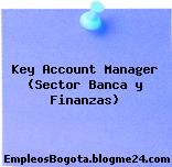 Key Account Manager (Sector Banca y Finanzas)