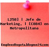 L258] | Jefe de Marketing. | [C884] en Metropolitana