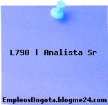 L790 | Analista Sr