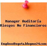 Manager Auditoría Riesgos No Financieros