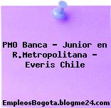 PMO Banca – Junior en R.Metropolitana – Everis Chile