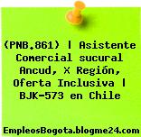 (PNB.861) | Asistente Comercial sucural Ancud, X Región, Oferta Inclusiva | BJK-573 en Chile