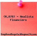(R.878) – Analista Financiero