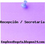 Recepción / Secretaria