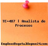 TE-487 | Analista de Procesos