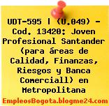 UDT-595 | (U.049) – Cod. 13420: Joven Profesional Santander (para áreas de Calidad, Finanzas, Riesgos y Banca Comerciall) en Metropolitana