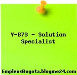 Y-873 – Solution Specialist