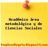 Académico área metodológica y de Ciencias Sociales