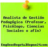 Analista de Gestión Pedagógica (Profesor, Psicólogo, Ciencias Sociales o afín)