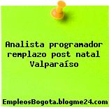 Analista programador remplazo post natal Valparaíso