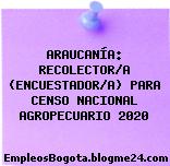 ARAUCANÍA: RECOLECTOR/A (ENCUESTADOR/A) PARA CENSO NACIONAL AGROPECUARIO 2020