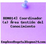 BDN014] Coordinador (a) Área Gestión del Conocimiento