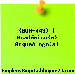(BOH-443) | Académico(a) Arqueólogo(a)