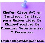 Chofer Clase A-5 en Santiago, Santiago para Universidad De Chile-Facultad De Ciencias Veterinarias Y Pecuarias