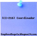 (CI-216) Coordinador