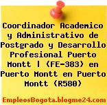 Coordinador Academico y Administrativo de Postgrado y Desarrollo Profesional Puerto Montt | (FE-383) en Puerto Montt en Puerto Montt (R580)