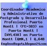Coordinador Academico y Administrativo de Postgrado y Desarrollo Profesional Puerto Montt | (FE-383) en Puerto Montt | [WYL438] en Puerto Montt [QMN.1 | Q.648