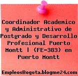 Coordinador Academico y Administrativo de Postgrado y Desarrollo Profesional Puerto Montt | (FE-383) en Puerto Montt