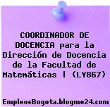 COORDINADOR DE DOCENCIA para la Dirección de Docencia de la Facultad de Matemáticas | (LY867)