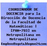 COORDINADOR DE DOCENCIA para la Dirección de Docencia de la Facultad de Matemáticas | [PHM-793] en Metropolitana en Metropolitana