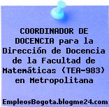 COORDINADOR DE DOCENCIA para la Dirección de Docencia de la Facultad de Matemáticas (TEA-983) en Metropolitana