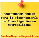 COORDINADOR EDULAB para la Vicerrectoría de Investigación en Metropolitana