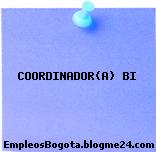 COORDINADOR(A) BI
