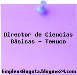 Director de Ciencias Básicas – Temuco