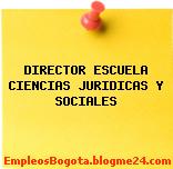 DIRECTOR ESCUELA CIENCIAS JURIDICAS Y SOCIALES