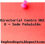Director(a) Centro UAI D – Sede Peñalolén