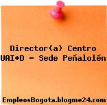 Director(a) Centro UAI+D – Sede Peñalolén
