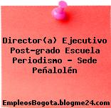 Director(a) Ejecutivo Post-grado Escuela Periodismo – Sede Peñalolén
