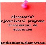director(a) ejecutivo(a) programa transversal de educación