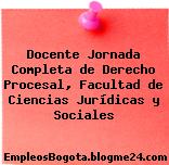 Docente Jornada Completa de Derecho Procesal, Facultad de Ciencias Jurídicas y Sociales