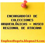 ENCARGADO(A) DE COLECCIONES ARQUEOLÓGICAS – MUSEO REGIONAL DE ATACAMA