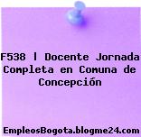 F538 | Docente Jornada Completa en Comuna de Concepción