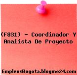 (F831) – Coordinador Y Analista De Proyecto