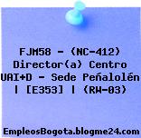 FJM58 – (NC-412) Director(a) Centro UAI+D – Sede Peñalolén | [E353] | (RW-03)