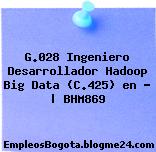 G.028 Ingeniero Desarrollador Hadoop Big Data (C.425) en … | BHM869