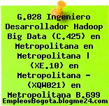 G.028 Ingeniero Desarrollador Hadoop Big Data (C.425) en Metropolitana en Metropolitana | (XE.10) en Metropolitana – (XQW021) en Metropolitana B.699