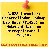 G.028 Ingeniero Desarrollador Hadoop Big Data (C.425) en Metropolitana en Metropolitana | (XE.10)